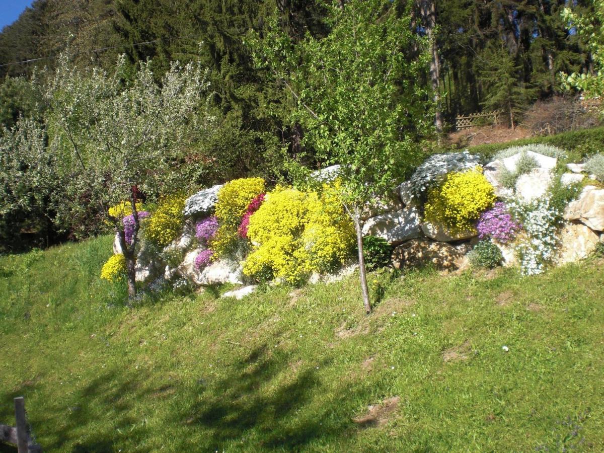 Ferienwohnungen Eggarter Fresach Exteriör bild